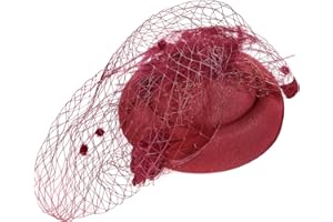 TINAYAUE Femme Chapeau Bibi Mariage Elégante Voilette Mariée Coiffure Vintage en Maille Mini Voile de Mariage Béret à Pince avec Plume Pince à Cheveux Décoré Acccesoires pour Déguisment Soirée Fête