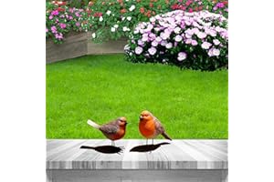 POPMANKO Juego de 2 adornos de Robin, Robin Garden Ornamento Decoración, Robin Robin Redbreast Regalos para Mujeres Jardín Patio Césped Decoraciones