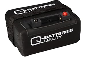 WSB Batterie au lithium pour chariot de golf 14,8 V 18 Ah 266,4 Wh avec chargeur et sac