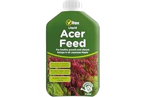 VITAX LTD Vitax Liquid Acer Tree Feed, Promotes Healthy Leaf & Root Growth, Suitable For Borders, Pots & Containers 1 Litre (makes 300L of Feed)