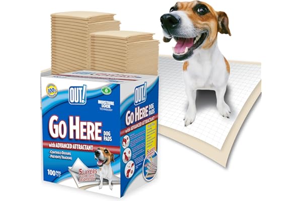 OUT! PetCare out IR aquí Almohadillas de Entrenamiento para Perros (Pack de 100)