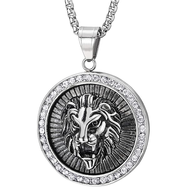 Collana In Acciaio Inossidabile Con Testa Di Lupo, Collana Da Uomo - Foto 5