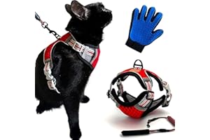 CUTEPET Harnais pour Chat (Rouge, XS)