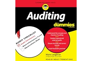 Auditing for Dummies