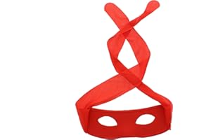 Zac's Alter Ego Super Hero/Thief Mask