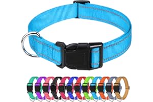 TagMe Reflective Nylon Dog Collars, Adjustable Classic Dog Collar with Quick Release Buckle for Puppy, SkyBlue, 1.0 cm Width