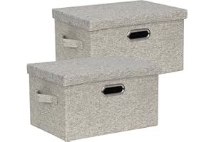 BinWhiz 2-Pack Storage Bins with Lid, 43x31x28 cm Fabric Cube Bins Organizer Basket Foldable Storage Box Containers with Handles for Closet Shelf Home Office Utility Room - Beige