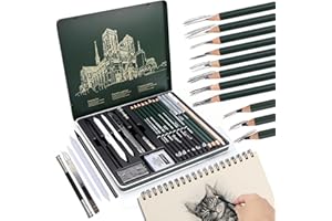 BINYI Set de Dessin au Fusain Crayon Papier Crayons à Dessin Professionnel Fournitures d'Art Crayons Fusain Crayon Graphite Zeichenset pour Artistes Débutants Étudiants 19 Pièces