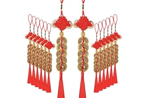 JUNEBRUSHS 16Pcs Chinese New Year Lucky Coins Charms Chinese Knot Feng Shui Tassel Hanging Pendant Decorations for New Year Home Health Wealth Success Lucky Decor