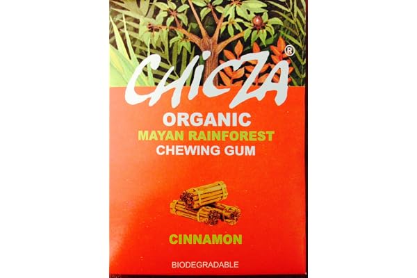 Chicza - Chewing Gum alla Cannella 30g BIO