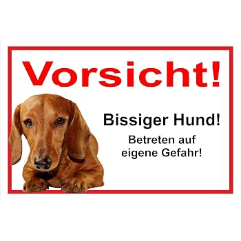 Warnschild 'Vorsicht Freilaufender Hund' – Achtung Dogge, Witterungsbeständiges Alu-Schild 20x30cm
