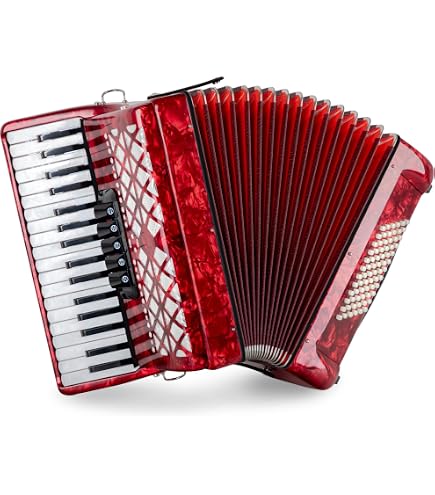 Fisarmonica Hohner Bravo BR48WH - 48 Bassi, 26 Tasti, Bianco Perla - Nuova Con Borsa E Cinghie - Foto 2
