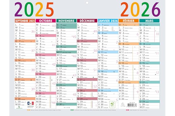 Exacompta 34310E - Calendrier Multicolore - 29,5 x 22 cm - Septembre 2025/2026 - Multicolore