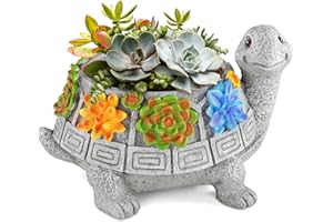 Grovind Pots de Fleurs, Pot de Plantes succulentes Turtle pour Plantes d'intérieur avec Trou de Drainage, Pots de Jardin pour Cactus Décoration de Bureau à Domicile Cadeaux pour Femmes