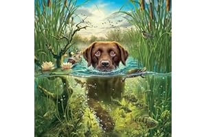 TOOINKCV 5D DIY Diamond Art Painting Kits, Diamanten Malerei Bilder nach Zahlen Kits, Strass Diamant Kreuzstich Stickerei Leinwand Malerei Bilder Painting für Kinder Erwachsene, Wand Art Dekor - Welpe