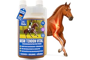 EMMA MSM para Caballos 1L Sistema Musculoesquelético Caballo Líquido en Vez de MSM Polvo I Articulaciones Tendones Ligamentos MSM con Glucosamina Condroitina Complejo Colágeno Altamente Dosificado Senior