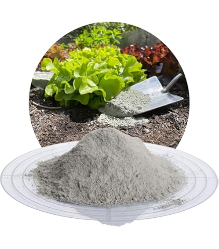 Concime Liquido Hyponex Per Bonsai NPK 6-10-5 - 160ml | Fertilizzante Giapponese - Foto 10