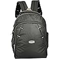 Dhariwal 26 Ltrs 38 cm Backpack