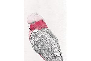 Maxwell & Williams Marini Ferlazzo Birds Strofinaccio da Cucina in Cotone Stampato con Cacatua Rosa, Colore Nero / Bianco, 50 x 70 cm