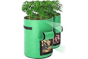 Cefrank Bolsas de Cultivo de Patatas, 35 x 45 cm, no Tejidas, 10 galones, 2 Unidades (Verde)