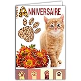 Afie 67 1115 Carte Pour Ton Anniversaire Chat Gris Doux Fleurs Bleues Rouges Roses Fabrique En France Amazon Fr Fournitures De Bureau
