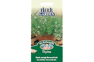 MR FOTHERGILLS Mr Fothergill's 13982 Herb Seeds, Thyme, Green