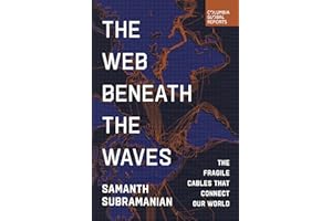 The Web Beneath the Waves: The Fragile Cables That Connect Our World