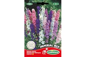 Germisem Sommer-Rittersporn EC1521 mehrfarbig