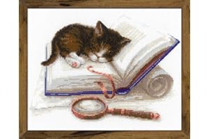 Riolis Kit de Punto de Cruz de algodón, Multicolor, 30 x 24 cm