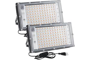 CREATESTAR 100W Foco LED Exterior, 2Pcs Super Luminoso 10000Lm Foco Proyector LED 3000K, Iluminación de Exterior Seguridad Blanco Cálido, IP65 Impermeable para Patio, Jardín, Garaje