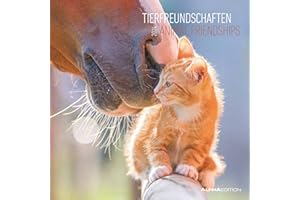 ‎ALPHA EDITION Tierfreundschaften 2024 - Broschürenkalender 30x30 cm (30x60 geöffnet) - Kalender mit Platz für Notizen - Animal Friendships - Bildkalender - Planer