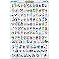 Cover your wall with this big poster featuring the Pokemon, with their English name, from within the Hoenn region by GB eye!