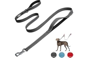 Fida Heavy Duty Dog Leads for Medium/Large Dogs, 1.8M / 6FT Traffic Handle & Advanced Hook for More Control, Reflective Dog Lead for Daily Walking & Training (Black)