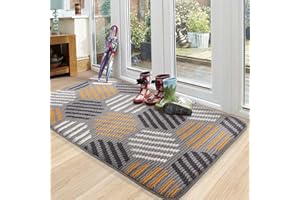 COLOR&GEOMETRY Color G Door Mats Indoor, 50x80cm, Washable Front Door Mat Inside for Entrance, Super Absorbent, Non-slip Doormat, Dirt Trapper Door Mat for Front Back Door, Pets and Dogs - Grey