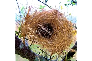 Youngwier Nistmaterial Für Vöge, Natürliche Kokosfaser Kanarienvögel Zebrafinken Hamster Wellensittiche Wildvögel Nymphensittich Nistmaterial Nester Hausgarten Gemüse Anbau Reptilienbettwäsche