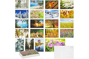 BEST PAPER GREETINGS 40 Pack Nature Postcards Bulk, Blank Travel Cards for Mailing, 20 Assorted Scenic Photos, Four Seasons (10 x 15 cm)