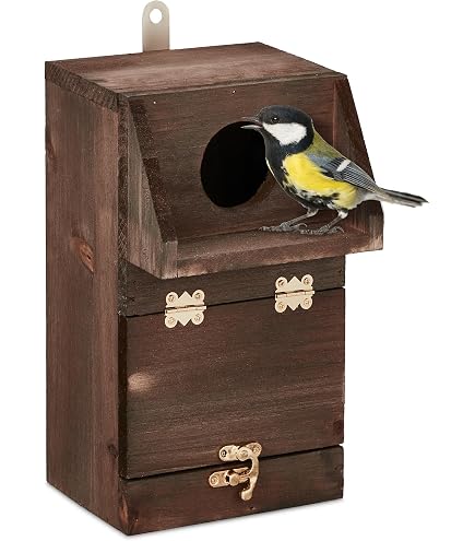 Natures Market Bf017, 8 Mangiatoie Per Uccelli A Forma Di Nido, Colore Marrone, Per Piccoli Uccelli Selvatici