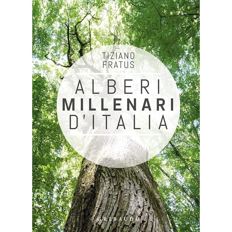 Manuale Del Perfetto Cercatore D'Alberi - Guida Per Appassionati - Foto 3