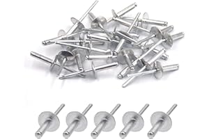 BESTYCHAO 50 Stück Aluminium-Blindnieten mit großem Flansch 4,8mm x 20mm, 50er-Pack (Silber)