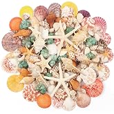 680 g Seashells Decoration 130+ Various Natural Beach Shells, Starfish Oyster Shells, Small Seashells for Sailor, Beach Party