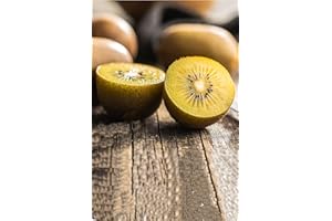 eGarden.store - Pianta vera di Kiwi Giallo o Actinidia Deliciosa Golden Femmina diverse grandezze - Albero da frutto di kiwi giallo commestibile in vaso da coltivare all'esterno