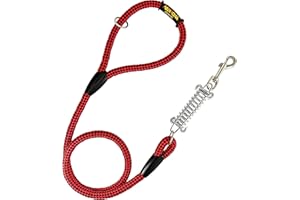 AVANZONA Correa para Perros, Amortiguador, Antitirones, para Perros medianos y Grandes, Fabricada en España. 120cm. Rojo&Negro