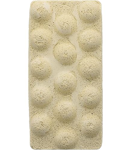 Brightwell Xport BIO Cubes 500ml Ultraporöse Biologische Filtermaterial - Zoolog