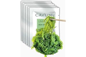 CAVUMI Sea Grapes 6er Pack