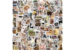 ETHEL 100 PCS Funny Cat Meme Stickers for Adults & Teens - Waterproof Vinyl Stickers for Water Bottles, Laptops, Skateboards - Creative Cat Lover Gift Ideas(Katzen Aufkleber)