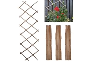DIVCHI Wooden Trellis Expandable Garden Wall Trellis For Climbing Plants Decoration & Plants Partitioning (Pack Of 3) (180cm x 30cm) (Natural Wood)