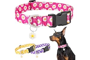 BiPawTi Obroże dla Psów Różowy Wzór Stokrotek z Urocza Zawieszką – Miękką, Regulowaną Obrożą Małych Psów, Różowa Obroża dla Psa Szczeniąt, XS