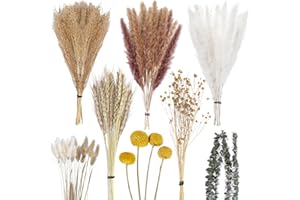 CHBOP 113 x Getrocknetes Pampasgras Trockenblumen natürlicher Blumenstrauß Deko für Inneneinrichtungen Fotografie Hochzeit