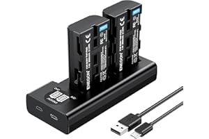 ENEGON NP-F550 Chargeur de Batterie Kit 2X 2900mAh Batterie de Remplacement LCD Type-C Câble USB Chargeur pour Sony NP F970/F960/F770/F750/F570/F550/F530/F330/CCD-SC55/TR917/TR910/TR818/TR716/TR516
