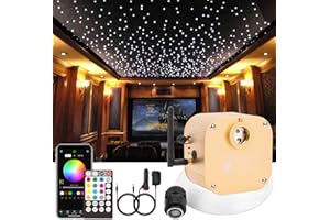 CHINLY Bluetooth 16W RGBW Twinkle LED Fiber Optic Star Plafonniers Kit APP/Télécommande 550cs * 0.75mm * 4m pour Maison/Voiture